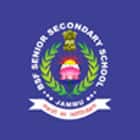 BSF Senior Secondary School Logo
