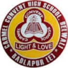 Carmel Convent High School Logo
