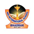 NRI International School Logo