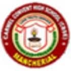 Carmel Convent School Logo