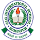 CLG International School Logo