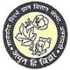 Government Vidarbha Institute of Science & Humanities Logo