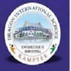 Dragon International School Logo