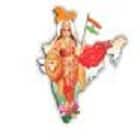 Bhartiya Public School Logo
